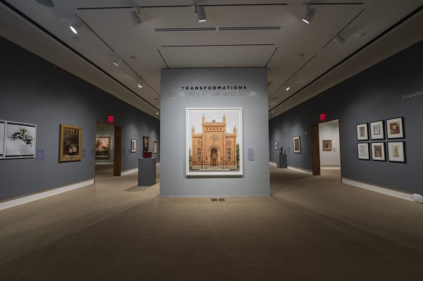 Markus Brunetti at the Rollins Museum of Art