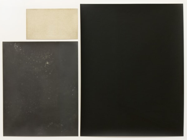 Alison Rossiter at Princeton University Art Museum