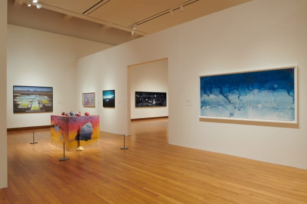 Matthew Brandt, Sze Tsung Nicolás Leong, and Meghann Riepenhoff at the Nasher Museum of Art