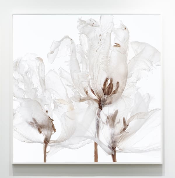 21c Museum Acquires work by Kathrin Linkersdorff