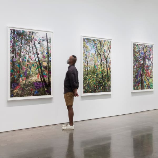 Installation View | Sarah Anne Johnson: Woodland  Featured Artworks:  Sarah Anne Johnson (Canadian, b. 1976)  DTAW2, 2020  Pigment Print with Oil Paint  59 7/8” x 40” (152 x 101.5 cm)  Framed: 64 3/4" x 44 3/4" (164.5 x 113.5 cm)  Signed, Titled and Dated Verso on Label  Unique  (SAJ.21823)  Sarah Anne Johnson (Canadian, b. 1976)  MDAD, 2020  Pigment Print with Oil Paint and Gold Leaf  Image: 59 7/8” x 39 7/8” (152 x 101.5 cm)  Framed: 64 5/8” x 44 5/8” (164 x 113.5 cm)  Signed, Titled and Dated Verso on Label  Unique  (SAJ.21903)  Sarah Anne Johnson (Canadian, b. 1976)  CTHMHY2, 2020  Pigment Print with Oil Paint  59 7/8” x 40” (152 x 101.5 cm)  Framed: 64 5/8” x 44 1/2” (164 x 113 cm)  Signed, Titled and Dated Verso on Label  Unique  (SAJ.21967)