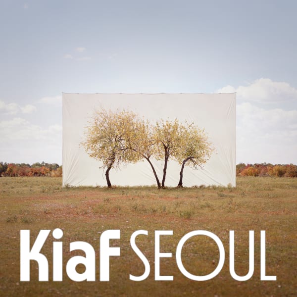 Myoung Ho Lee, Tree… #4, Ink on Paper, 2013