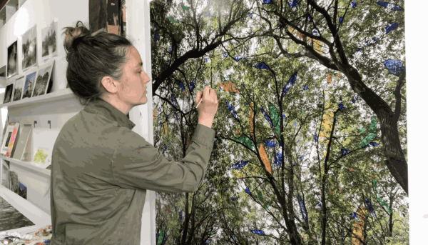 Studio Visit | Sarah Anne Johnson on Woodland