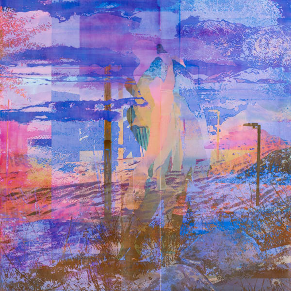 Zoe Walsh: Night Fields