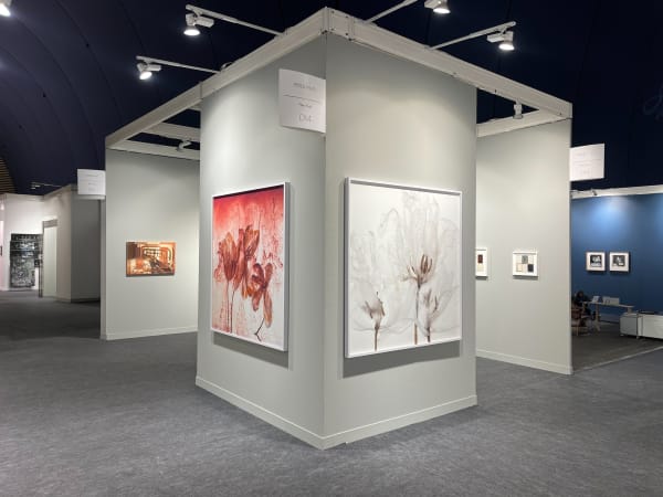 Yossi Milo at Paris Photo Booth D14 November 8 - 12, 2023
