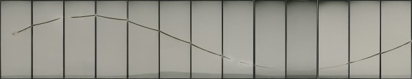 Chris McCaw (American, b. 1971) Sunburned GSP#492 (24 hours), 2012