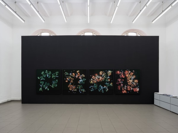 [Installation View] Kathrin Linkersdorff: Microverse Haus am Kleistpark, Berlin, Germany March 21 - June 8, 2025 Image courtesy of Haus Am Kleistpark.