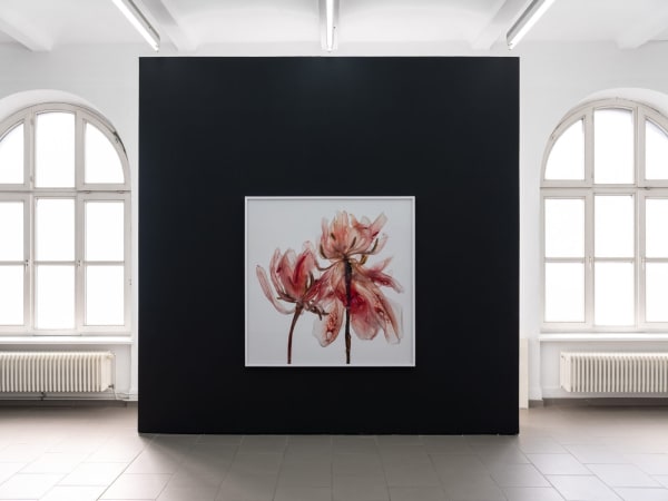 [Installation View] Kathrin Linkersdorff: Microverse Haus am Kleistpark, Berlin, Germany March 21 - June 8, 2025 Image courtesy of Haus Am Kleistpark.