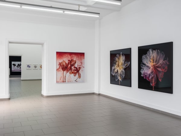 [Installation View] Kathrin Linkersdorff: Microverse Haus am Kleistpark, Berlin, Germany March 21 - June 8, 2025 Image courtesy of Haus Am Kleistpark.