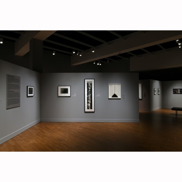 [Installation View] Women in Focus San Diego Museum of Art February 1–July 13, 2025 Courtesy of The San Diego Museum of Art