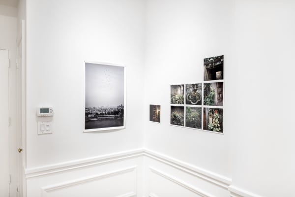 Hai Zhang "Aged Innocence" at MIYAKO YOSHINAGA Sept. 17 - Nov. 20, 2021 Photo by Hai Zhang