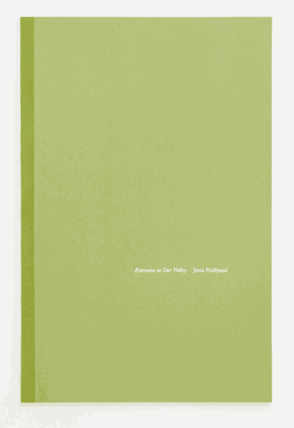 Jenia Fridlyand ENTRANCE TO OUR VALLEY TIS Books, 2019