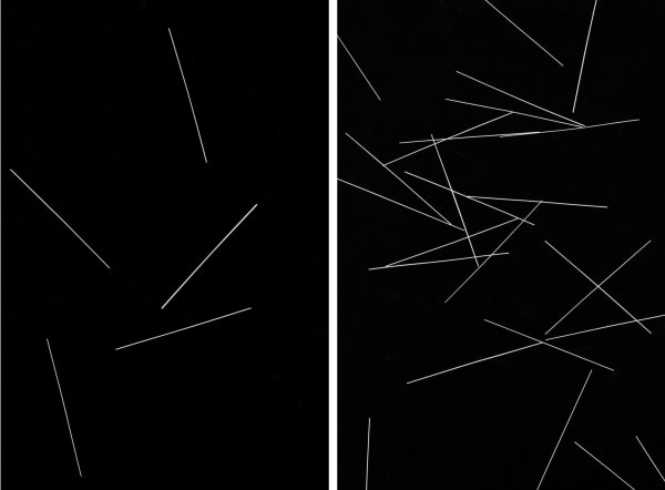 Chance and Necessity #9 & #10, gelatin silver print, 2020