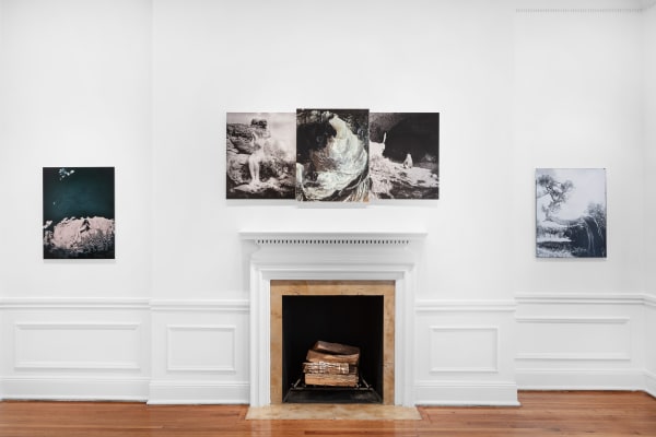 Solo Exhibition MEDA by Karen Miranda Rivadeneira, April 23 - June 30, 2021