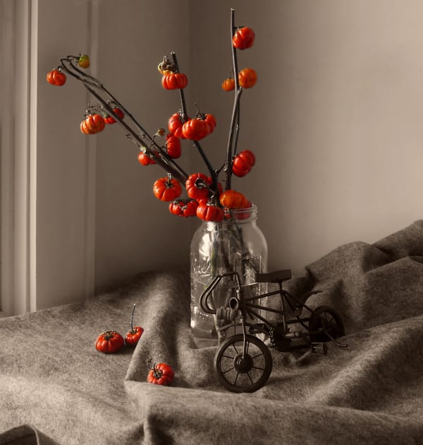 Still Life 1, 2020 Archival pigment print 10 1/2 x 10 in 26.7 x 25.4 cm Edition of 10 plus 2 artist's proofs