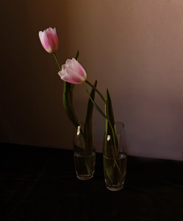 Still Life 5, 2020 Archival pigment print 18 x 15 in 45.7 x 38.1 cm Edition of 5 plus 2 artist's proofs
