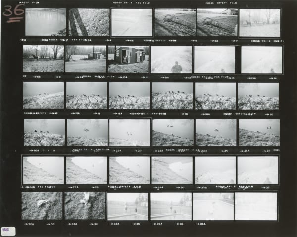 CONTACTS No. 88, O'Connor, Marison, New York © Ken Ohara