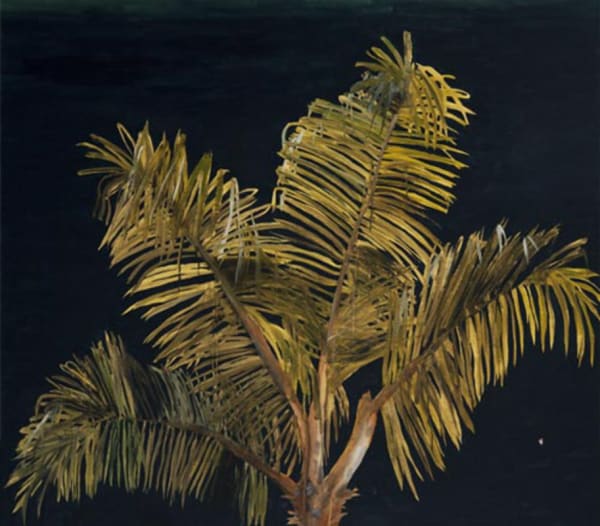Palmeira (Palm Tree), 2010