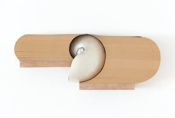 “Concha” (da Série Objetos Prateleira), 2010