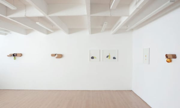 Vista da Exposição (Exhibition View)