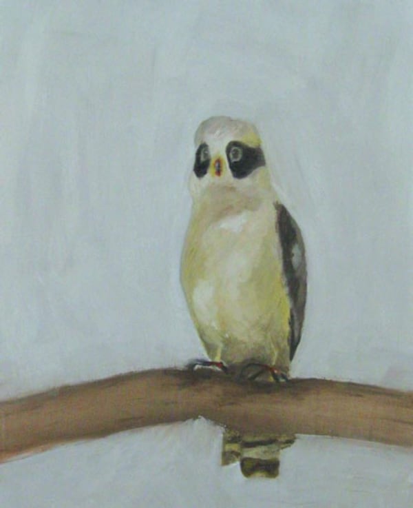 RAFAEL CARNEIRO, RENATA DE BONIS, RODRIGO BIVAR