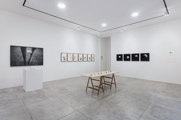 Vista da Exposição/Exhibition view, Foto/Photo Filipe Berndt