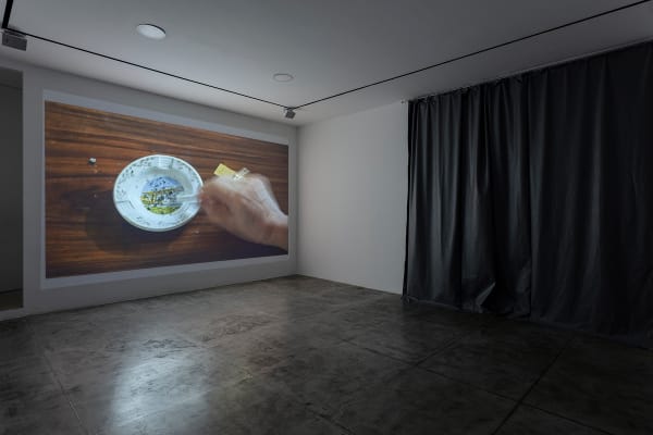 Natureza-Morta, 2022