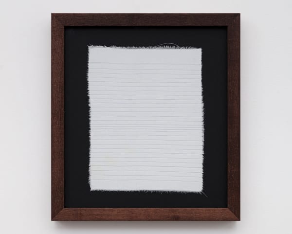 Textil (hoja normal), 2022