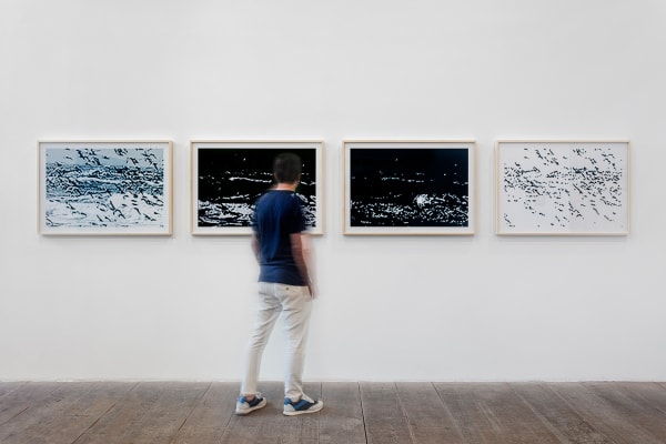 Vista da Exposição/Ehibition View. Foto/photo: Filipe Berndt