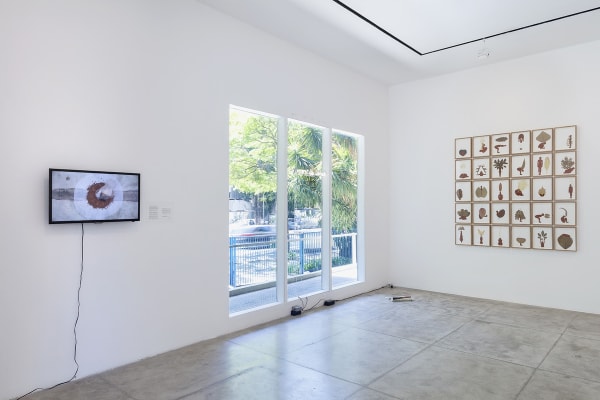 Ficaremos Bem (?), 2019 - Galeria Marilia Razuk - Foto (Photo) Filipe Berndt
