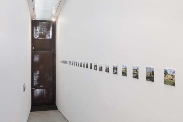 'Pintura Salobra", Galeria Marilia Razuk, 2019 - Foto (Photo) Filipe Berndt