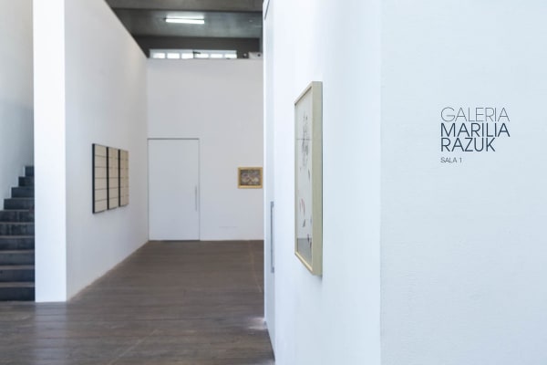 "Correlações entre variáveis Aleatórias: Julio Plaza e Nelson Leirner", 2019 - Galeria Marilia Razuk. Foto (Photo) Claus Lehmann