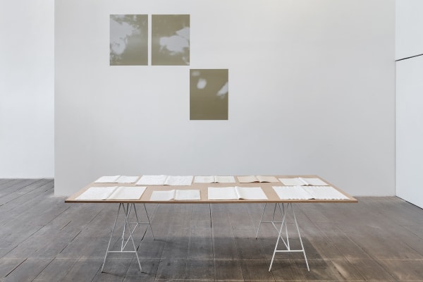 Maria Laet / Poro - Galeria Marilia Razuk, 2018. Foto (Photo): Filipe Berndt