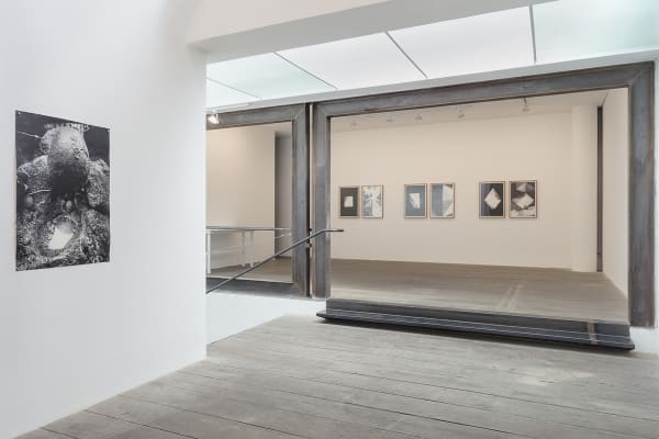 Maria Laet / Poro - Galeria Marilia Razuk, 2018. Foto (Photo): Filipe Berndt