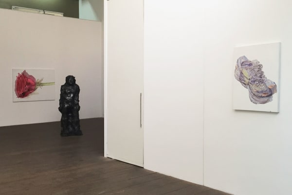 Vista da exposição "Sapatos e Flores", 2017 - Sergio Romagnolo