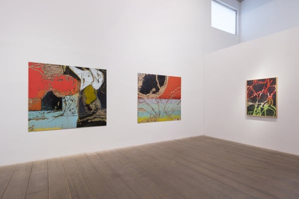 Fabricio Lopez / Yamatãma, o antitrauma, 2016. foto/ photo: Everton Ballardin
