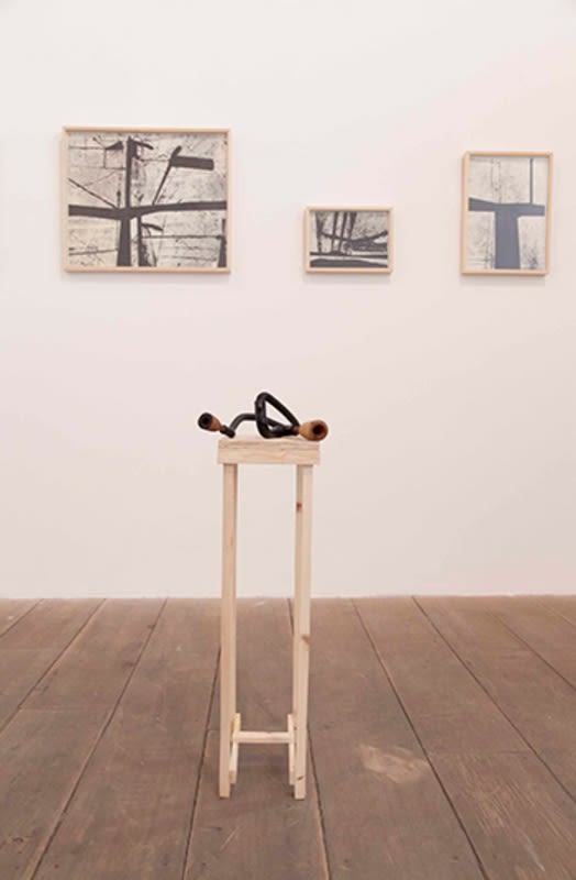 Claudio Cretti / Trago, 2015 - Galeria Marilia Razuk