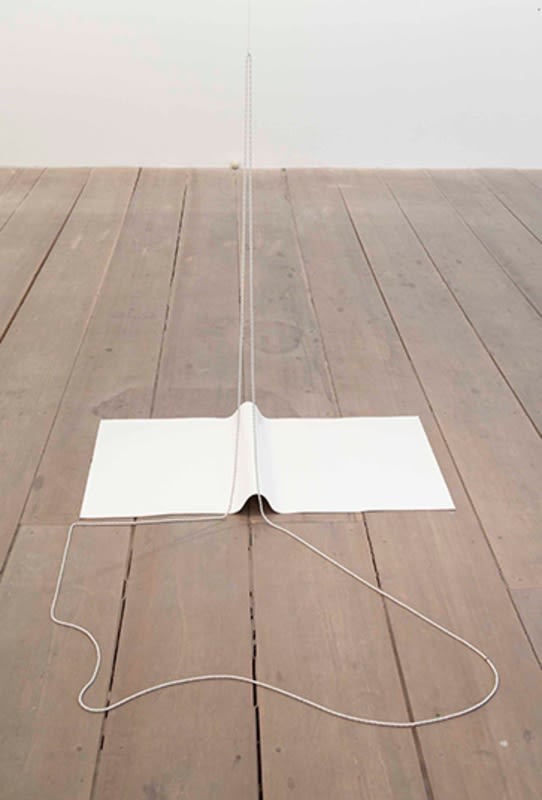 Alexandre Canonico / Aonde, 2015 - Galeria Marilia Razuk