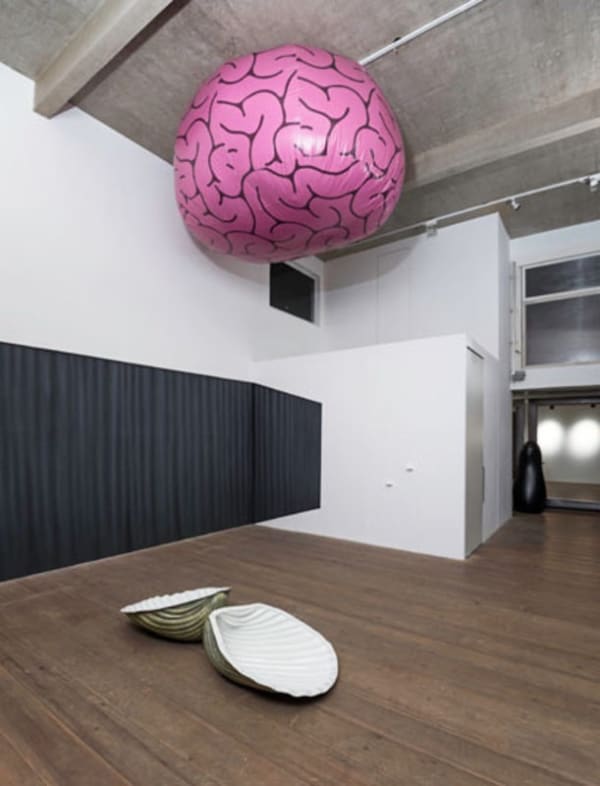 Ana Luiza Dias Batista, Espelho Curvo, 2015. Galeria Marilia RazukFotografia/ Photo Edouard Frainpont