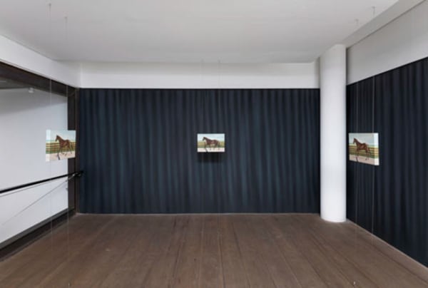 Ana Luiza Dias Batista, Espelho Curvo, 2015. Galeria Marilia RazukFotografia/ Photo Edouard Frainpont