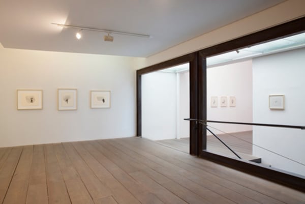 Johanna Calle/ Grafos, 2014foto (photo): Everton Ballardin