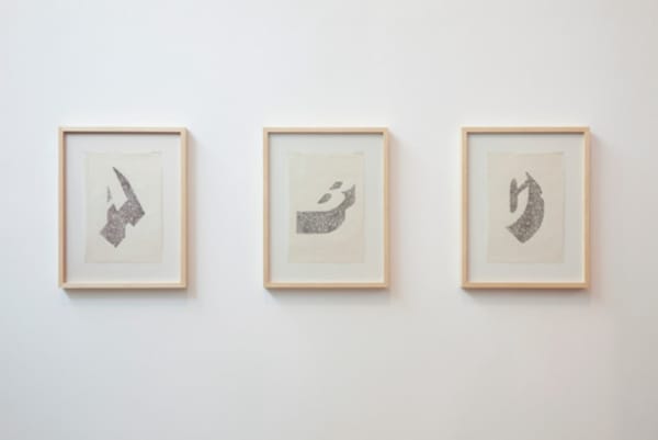 Johanna Calle/ Grafos, 2014foto (photo): Everton Ballardin