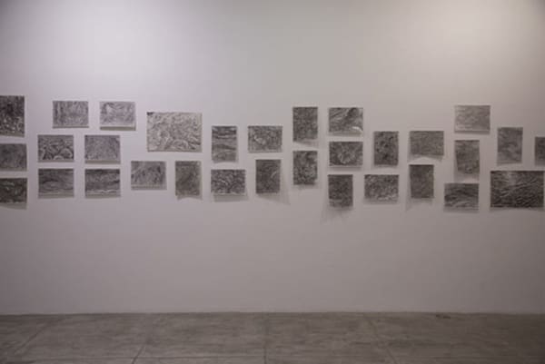 Natalia Castañeda/ Pedras Errantes, 2014