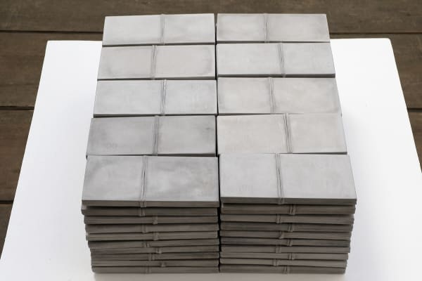 Marlon de Azambuja/ Movimento Concreto, 2014 - Galeria Marilia Razuk