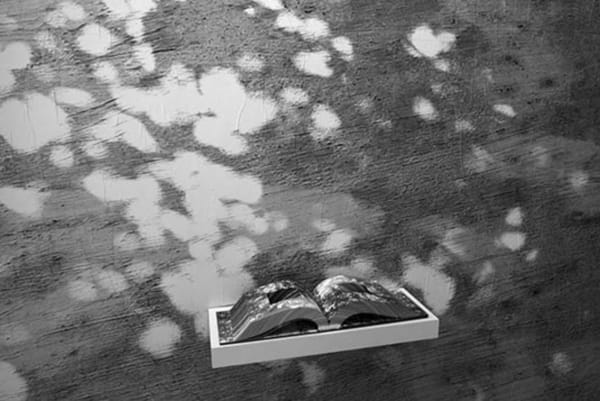 Lucia Mindlin Loeb: Memória Fotográfica, 2014. Vista Geral da Exposição/Exhibition View
