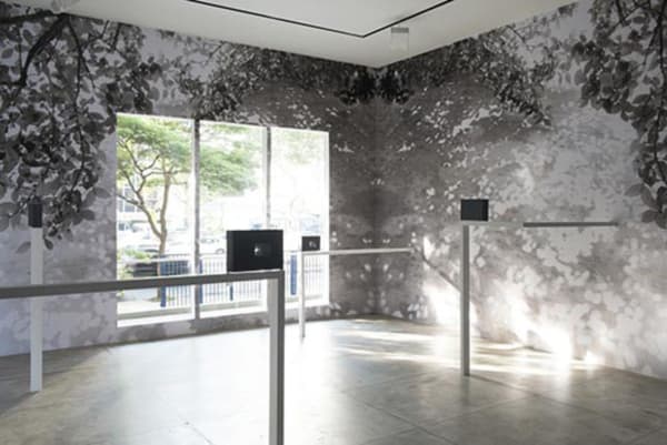 Lucia Mindlin Loeb: Memória Fotográfica, 2014. Vista Geral da Exposição/Exhibition View