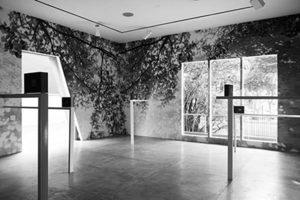 Lucia Mindlin Loeb: Memória Fotográfica, 2014. Vista Geral da Exposição/Exhibition View
