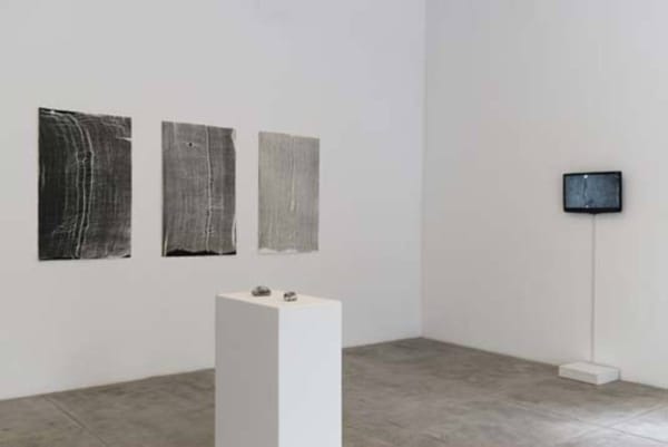 Maria Laet / Situação de Água, 2014 / Vista Geral da Exposição (Exhibition View)