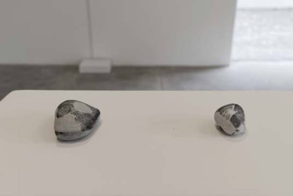 Maria Laet / Situação de Água, 2014 / Vista Geral da Exposição (Exhibition View)