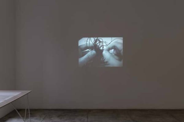 Maria Laet / Situação de Água, 2014 / Vista Geral da Exposição (Exhibition View)